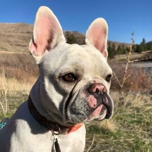 Meet your Posher, Cheryl